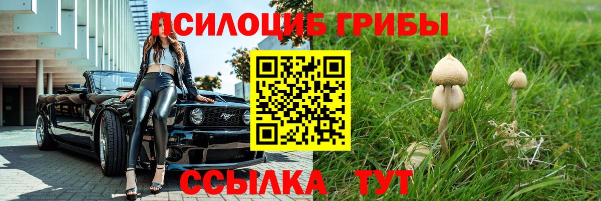 Псилоцибиновые грибы мицелий Элиста
